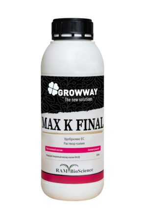 MAX K FINAL®
